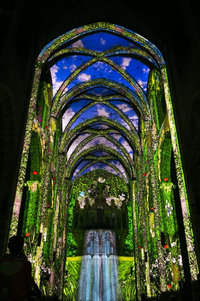 inTEMPOréel : blue session. 4 juin 2016, collégiale Saint-Salvi, Albi