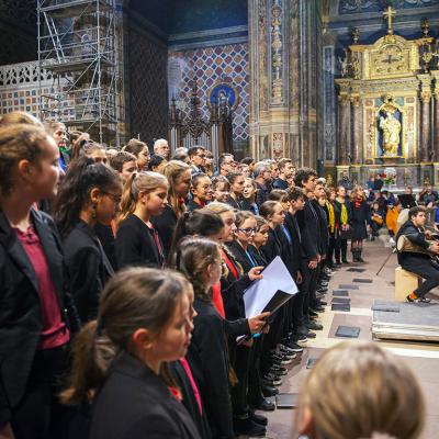 Fêtes de sainte Cécile 2019 - Orgue, intruments et chœurs  